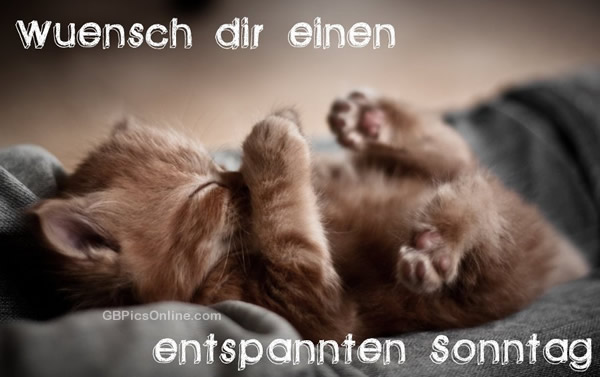 Sonntagsbeitrag   mal  anders