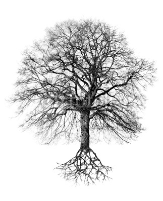 Filmzitat + Statement